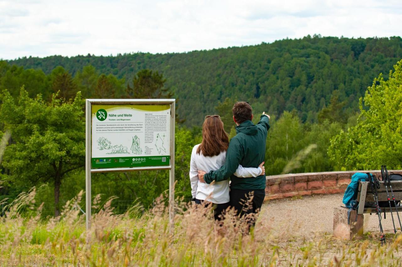 Hotel Landgasthof Oberschnorrhof Dammbach ภายนอก รูปภาพ